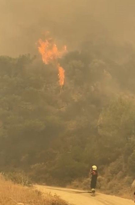 Datça ve Çeşme'de orman yangını. Evler tahliye ediliyor!